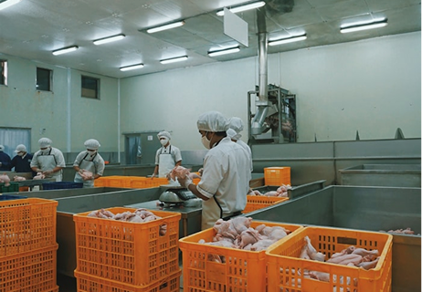 Industria acuícola FISHINGRUP