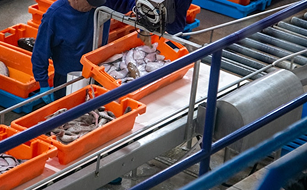 Productos de Origen Marino