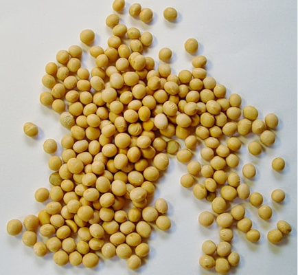 Pasta de Soya