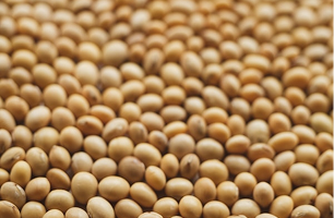 Lecitina de Soya