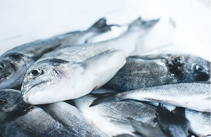 Harina de Pescado