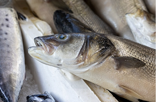 Hidrolizado de Pescado