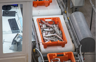 Soluble de Pescado