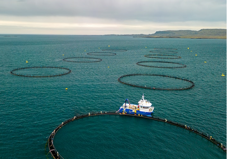 Productos de Origen Marino